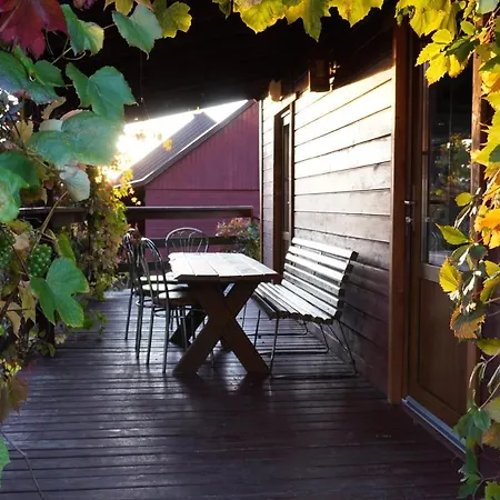 U Bochniaka ホリデーパーク チョルシュティン